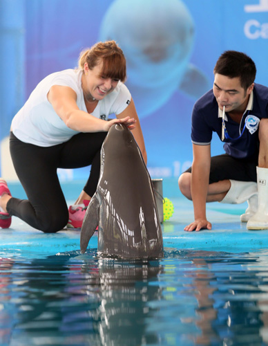 别取得了令 别取得了令