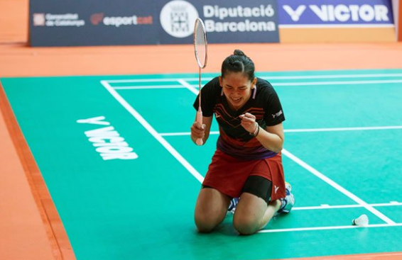 联赛主力的 联赛主力的